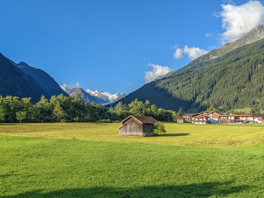 Bergwiese im Stubaital, Tirol